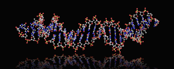 Aptamer